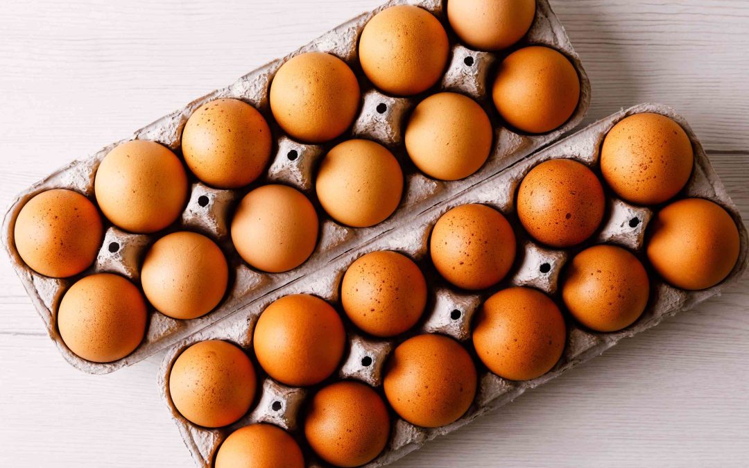 Ovos – Guia prático para escolher os melhores ovos